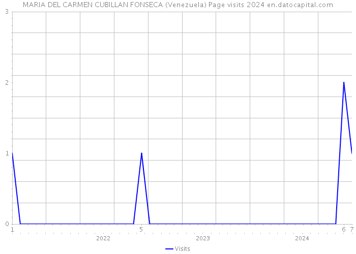 MARIA DEL CARMEN CUBILLAN FONSECA (Venezuela) Page visits 2024 