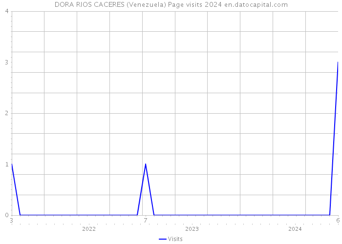 DORA RIOS CACERES (Venezuela) Page visits 2024 