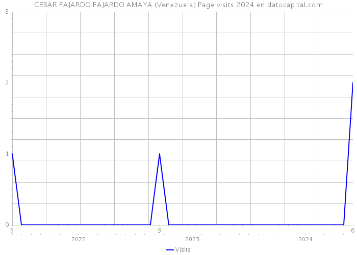 CESAR FAJARDO FAJARDO AMAYA (Venezuela) Page visits 2024 