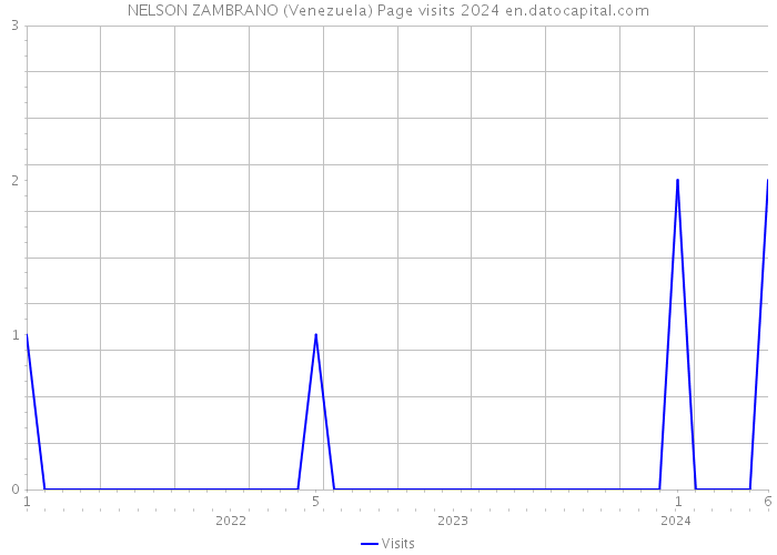 NELSON ZAMBRANO (Venezuela) Page visits 2024 