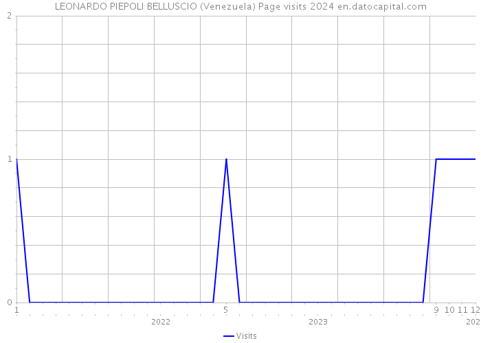 LEONARDO PIEPOLI BELLUSCIO (Venezuela) Page visits 2024 