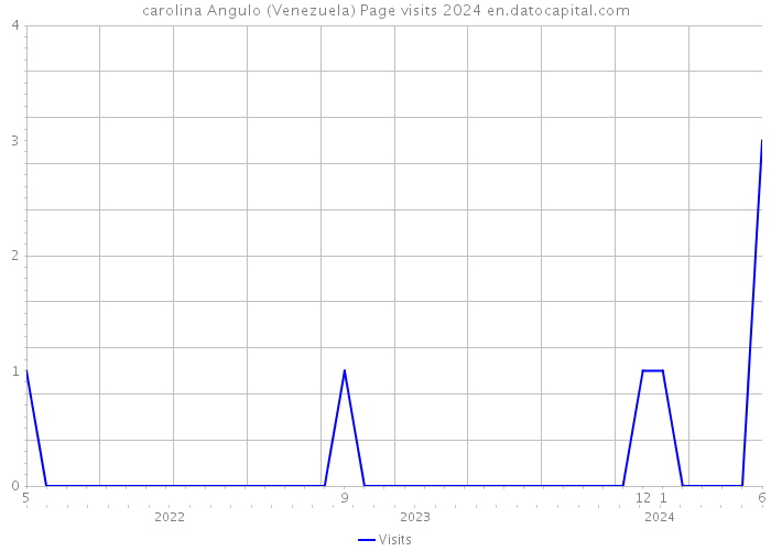 carolina Angulo (Venezuela) Page visits 2024 