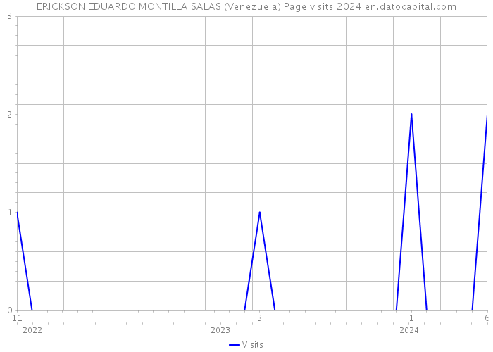 ERICKSON EDUARDO MONTILLA SALAS (Venezuela) Page visits 2024 