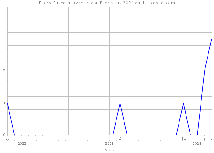Pedro Guacache (Venezuela) Page visits 2024 