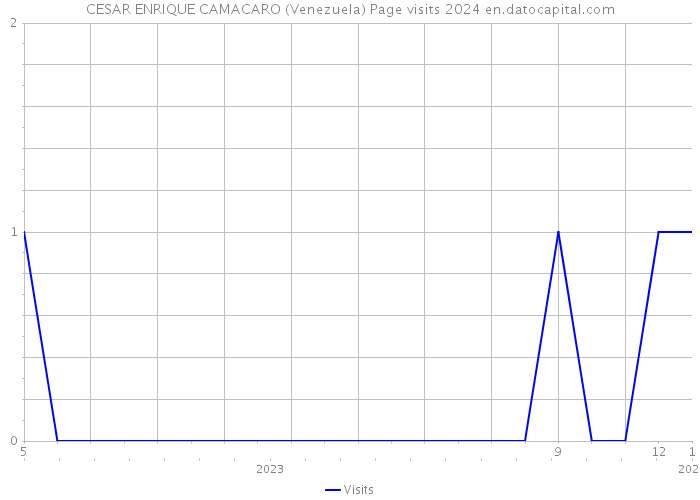 CESAR ENRIQUE CAMACARO (Venezuela) Page visits 2024 