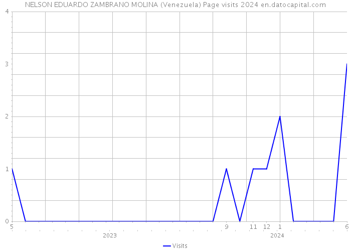 NELSON EDUARDO ZAMBRANO MOLINA (Venezuela) Page visits 2024 