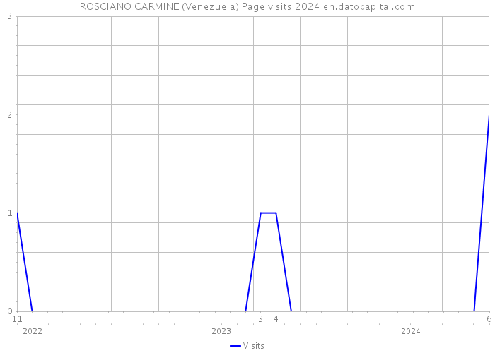 ROSCIANO CARMINE (Venezuela) Page visits 2024 