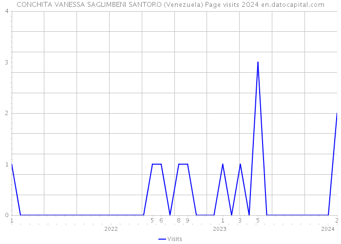 CONCHITA VANESSA SAGLIMBENI SANTORO (Venezuela) Page visits 2024 