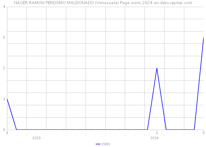 NAGER RAMON PERDOMO MALDONADO (Venezuela) Page visits 2024 