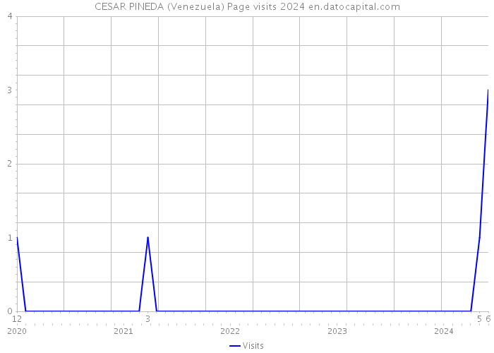 CESAR PINEDA (Venezuela) Page visits 2024 