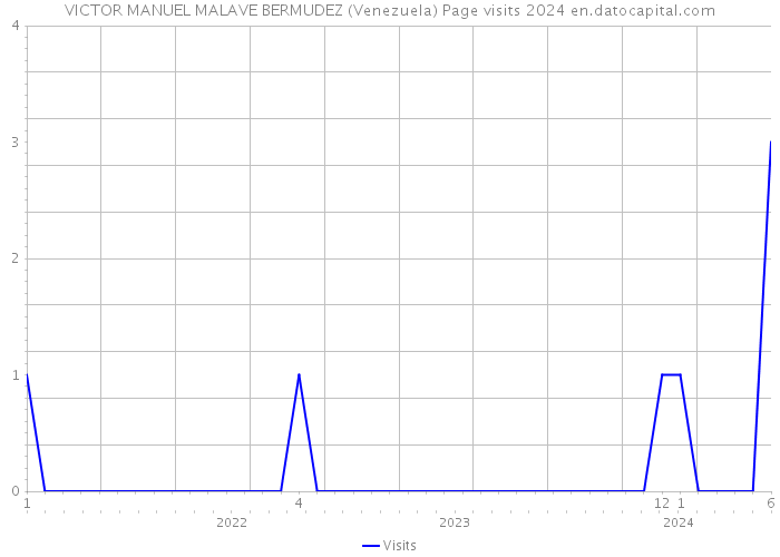 VICTOR MANUEL MALAVE BERMUDEZ (Venezuela) Page visits 2024 