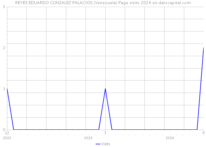 REYES EDUARDO GONZALEZ PALACIOS (Venezuela) Page visits 2024 