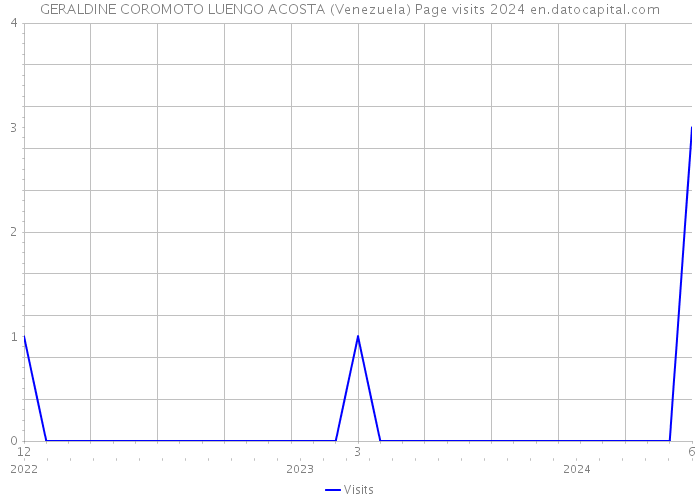 GERALDINE COROMOTO LUENGO ACOSTA (Venezuela) Page visits 2024 