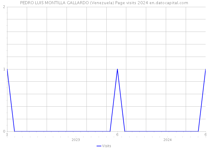 PEDRO LUIS MONTILLA GALLARDO (Venezuela) Page visits 2024 