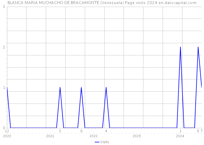 BLANCA MARIA MUCHACHO DE BRACAMONTE (Venezuela) Page visits 2024 