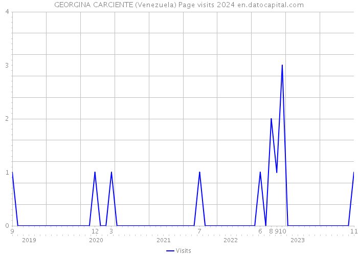 GEORGINA CARCIENTE (Venezuela) Page visits 2024 