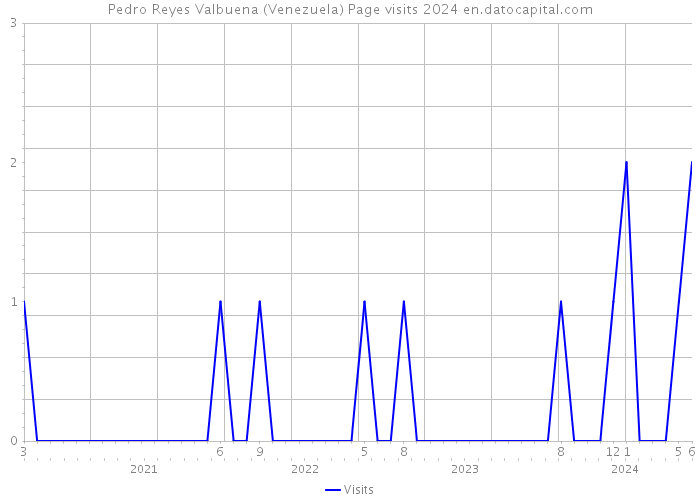 Pedro Reyes Valbuena (Venezuela) Page visits 2024 