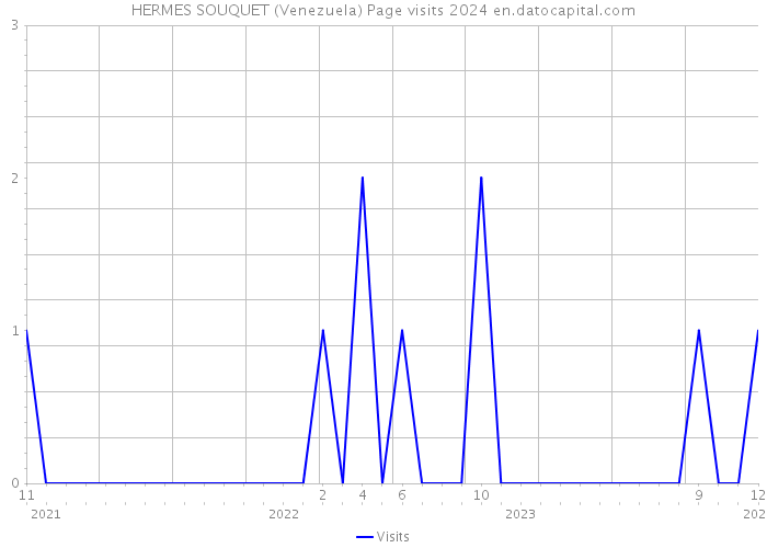 HERMES SOUQUET (Venezuela) Page visits 2024 