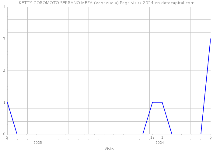 KETTY COROMOTO SERRANO MEZA (Venezuela) Page visits 2024 