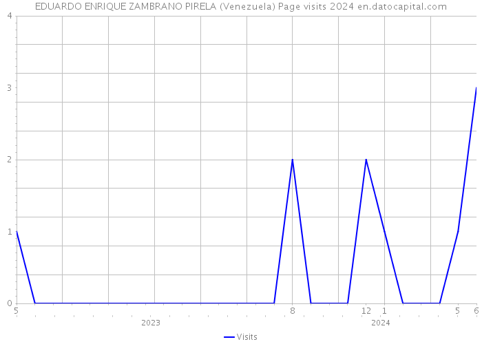 EDUARDO ENRIQUE ZAMBRANO PIRELA (Venezuela) Page visits 2024 