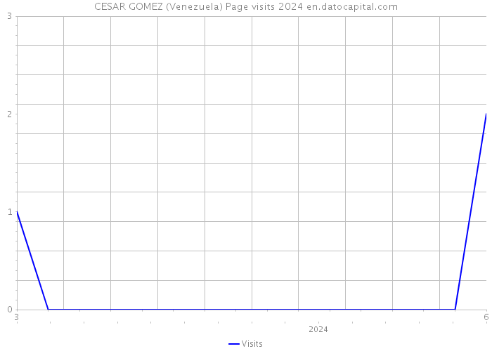 CESAR GOMEZ (Venezuela) Page visits 2024 