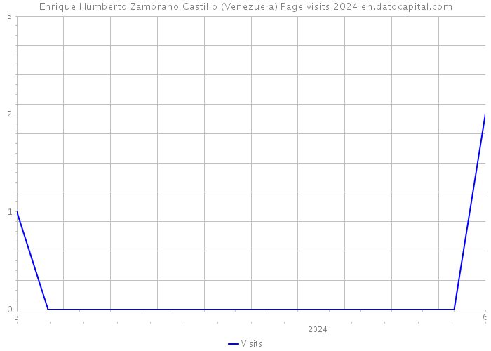 Enrique Humberto Zambrano Castillo (Venezuela) Page visits 2024 
