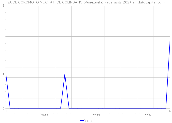 SAIDE COROMOTO MUCHATI DE GOLINDANO (Venezuela) Page visits 2024 