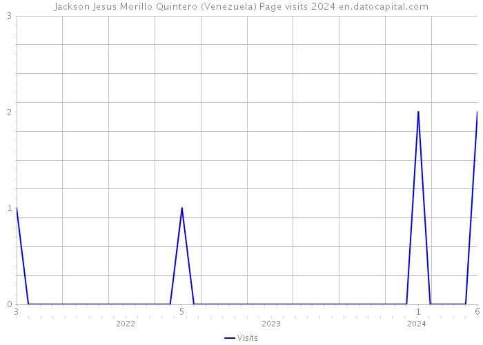 Jackson Jesus Morillo Quintero (Venezuela) Page visits 2024 