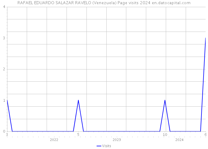 RAFAEL EDUARDO SALAZAR RAVELO (Venezuela) Page visits 2024 