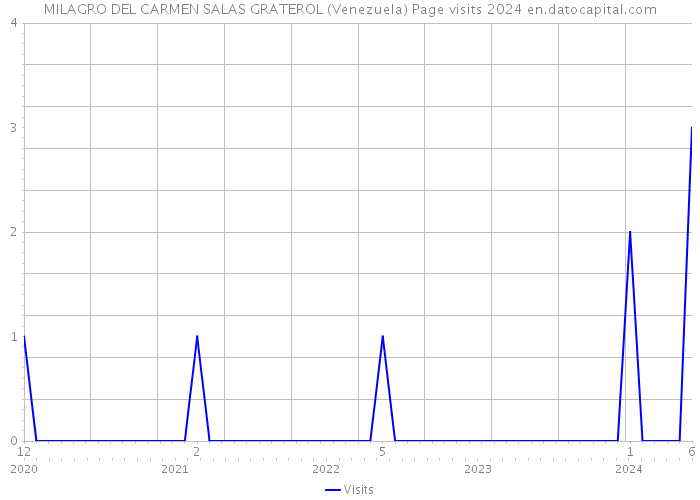 MILAGRO DEL CARMEN SALAS GRATEROL (Venezuela) Page visits 2024 