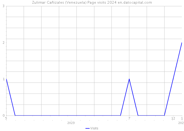 Zulimar Cañizales (Venezuela) Page visits 2024 
