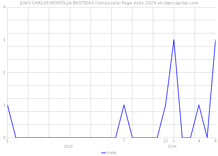 JUAN CARLOS MONTILLA BASTIDAS (Venezuela) Page visits 2024 
