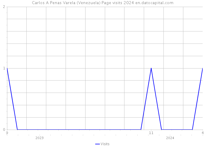 Carlos A Penas Varela (Venezuela) Page visits 2024 