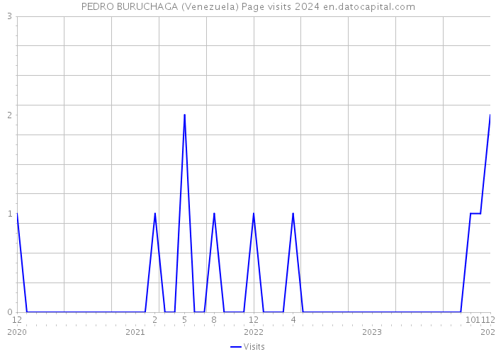 PEDRO BURUCHAGA (Venezuela) Page visits 2024 