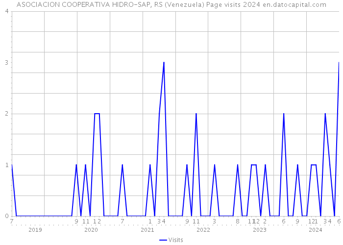 ASOCIACION COOPERATIVA HIDRO-SAP, RS (Venezuela) Page visits 2024 