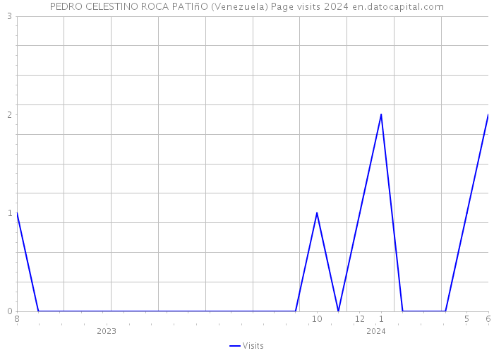 PEDRO CELESTINO ROCA PATIñO (Venezuela) Page visits 2024 