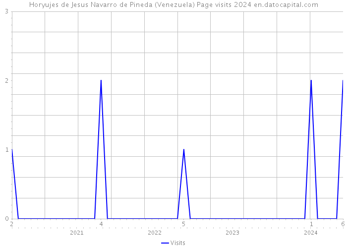 Horyujes de Jesus Navarro de Pineda (Venezuela) Page visits 2024 
