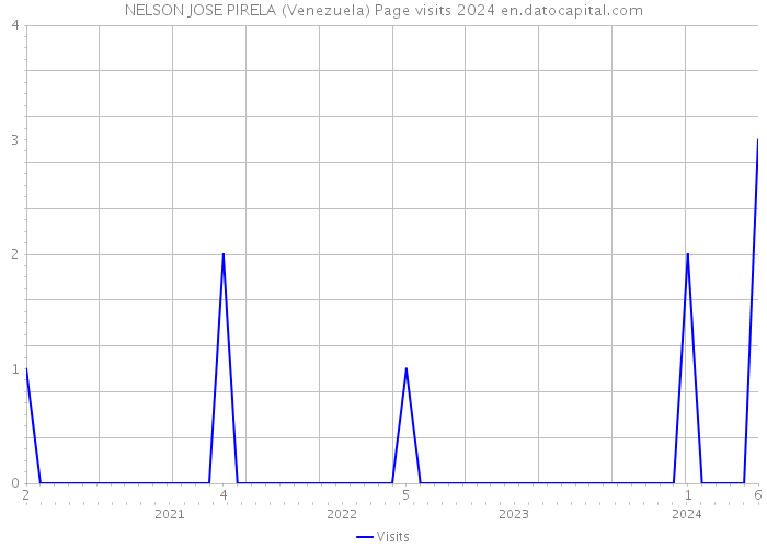 NELSON JOSE PIRELA (Venezuela) Page visits 2024 