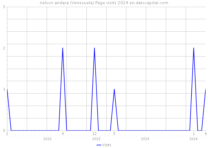 nelson andara (Venezuela) Page visits 2024 