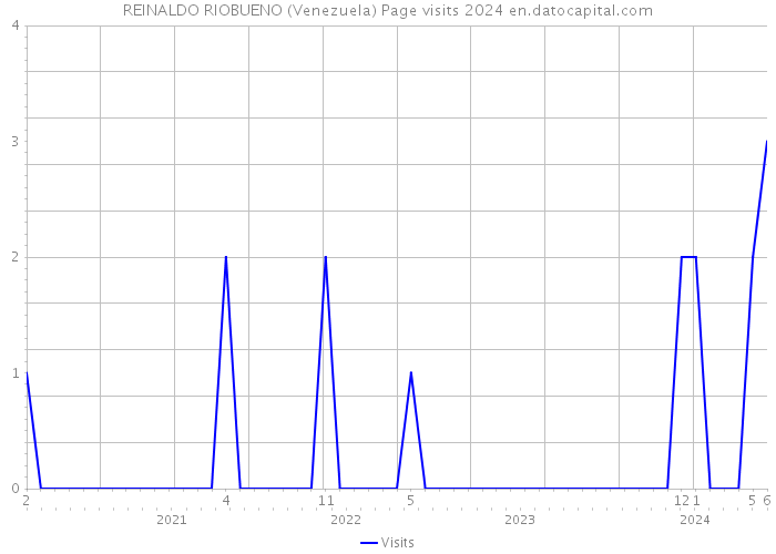 REINALDO RIOBUENO (Venezuela) Page visits 2024 
