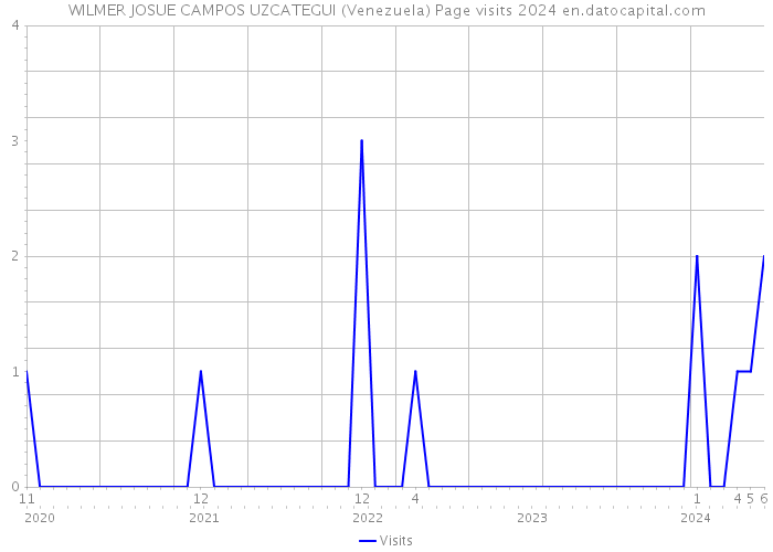 WILMER JOSUE CAMPOS UZCATEGUI (Venezuela) Page visits 2024 
