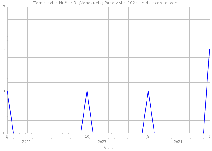 Temistocles Nuñez R. (Venezuela) Page visits 2024 