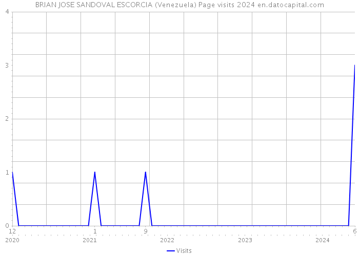 BRIAN JOSE SANDOVAL ESCORCIA (Venezuela) Page visits 2024 