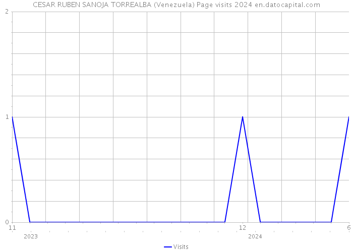 CESAR RUBEN SANOJA TORREALBA (Venezuela) Page visits 2024 