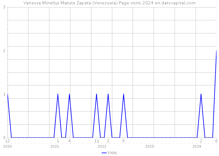 Vanessa Minellys Matute Zapata (Venezuela) Page visits 2024 