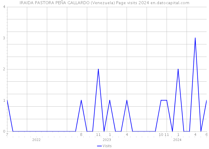 IRAIDA PASTORA PEÑA GALLARDO (Venezuela) Page visits 2024 
