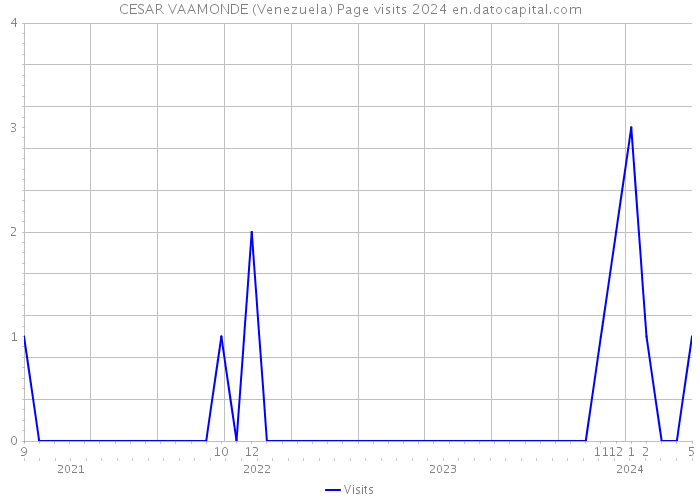 CESAR VAAMONDE (Venezuela) Page visits 2024 