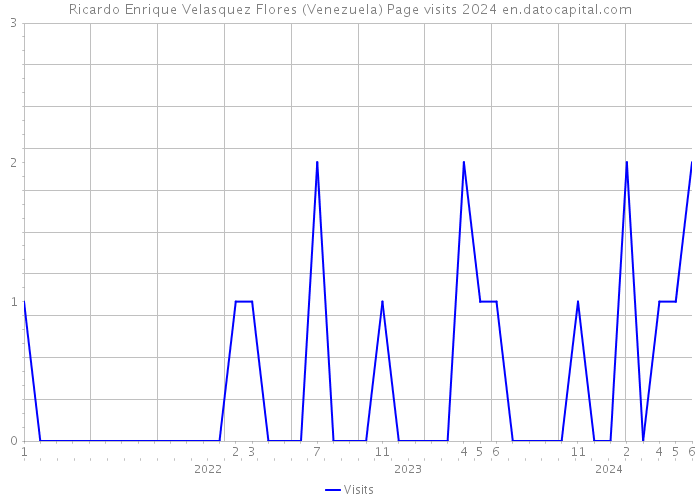 Ricardo Enrique Velasquez Flores (Venezuela) Page visits 2024 