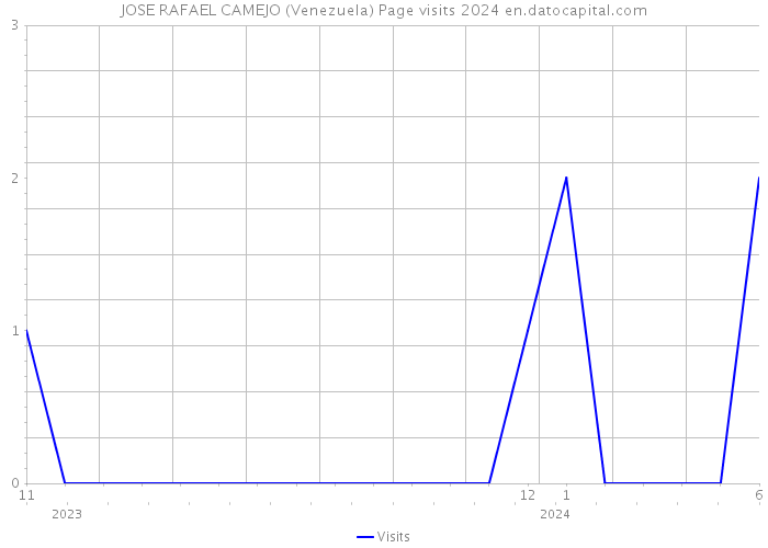 JOSE RAFAEL CAMEJO (Venezuela) Page visits 2024 