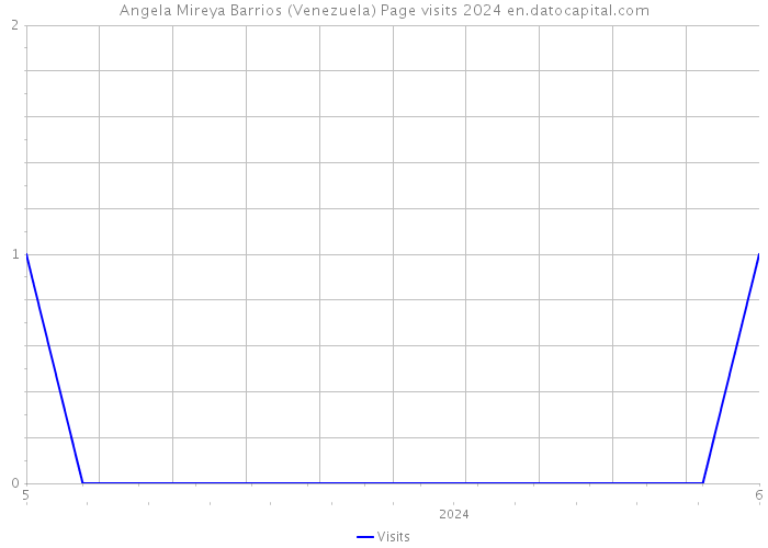 Angela Mireya Barrios (Venezuela) Page visits 2024 